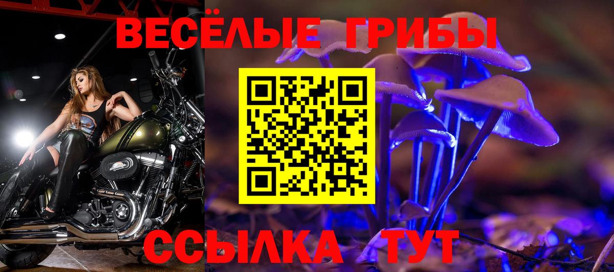 Псилоцибиновые грибы GOLDEN TEACHER  Вход с VPN  Донской  закладки  Галлюциногенные грибы GOLDEN TEACHER 