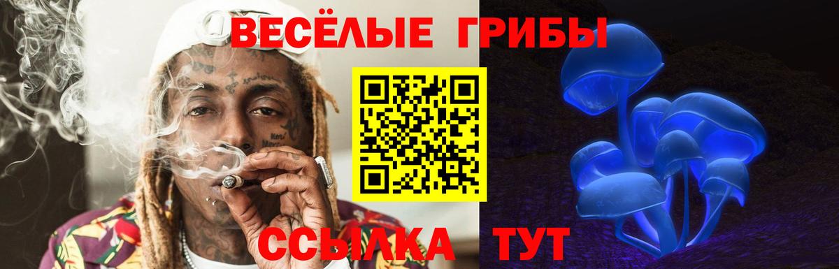 Псилоцибиновые грибы MAGIC MUSHROOMS Донской
